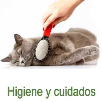 Higiene y Cuidados Gatos